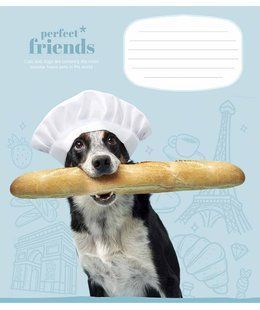 Тетрадь ученическая Perfect friends А5, 12 листов в косую линию, вододисперсионная обложка, Школярик