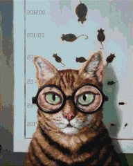 Алмазна мозаика Проверка зрения котика ©Lucia Heffernan, 40x50 см, Brushme
