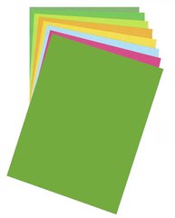 Бумага для дизайна Fotokarton B2, 50x70 см, 300 г/м2, №55 травяно-зеленая, Folia