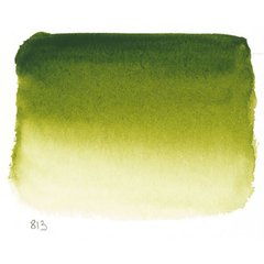 Краска акварельная L'Aquarelle Sennelier Оливковый зеленый №813 S1, 10 мл, туба