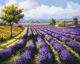 Картина по номерам Лавандовые поля, 40x50 см, Brushme