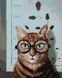 Алмазна мозаика Проверка зрения котика ©Lucia Heffernan, 40x50 см, Brushme DBS1219 фото 1 с 2
