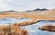 Фарба акварельна Schmincke Horadam Aquarell 15 мл Forest Blue 943 супергрануляція 14943006 зображення 6 з 9