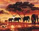 Картина за номерами Слони в савані, 40х50 см, Brushme BS5189 зображення 1 з 2