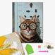 Алмазна мозаика Проверка зрения котика ©Lucia Heffernan, 40x50 см, Brushme DBS1219 фото 2 с 2