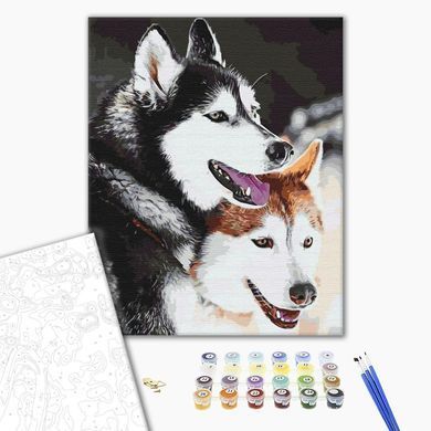 Картина за номерами Хаскі, 40х50 см, Brushme