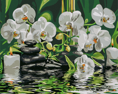 Картина по номерам Спокойствие орхидей, 40x50 см, Brushme