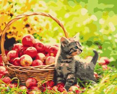 Картина по номерам Яблочный котик, 40х50 см, Brushme