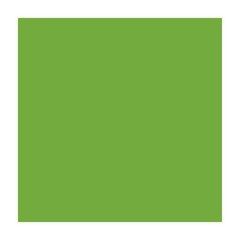 Бумага для дизайна Fotokarton A4, 21x29,7 см, 300 г/м2, №55 травяно-зеленая, Folia