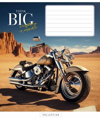 Тетрадь ученическая, 18 листов, в клетку, ВД-лак, Dream big, Star