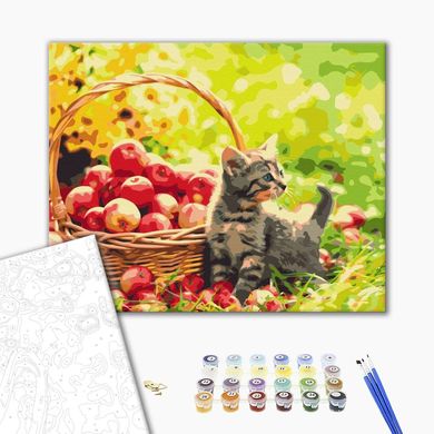Картина за номерами Яблучний котик, 40х50 см, Brushme