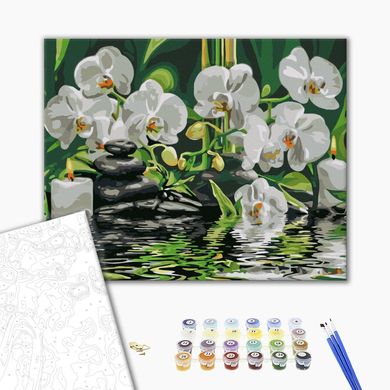 Картина за номерами Спокій орхідей, 40x50 см, Brushme