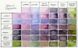 Набор акварельных красок Daniel Smith в полукюветах 6 цветов 1,8 мл Colors of Inspiration Half Pan 285650003 фото 3 с 5