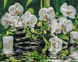Картина за номерами Спокій орхідей, 40x50 см, Brushme BS29693 зображення 1 з 2