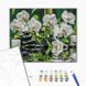 Картина за номерами Спокій орхідей, 40x50 см, Brushme BS29693 зображення 2 з 2