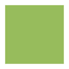 Папір для дизайну Fotokarton A4, 21x29,7 см, 300 г/м2, №51 світло-зелений, Folia
