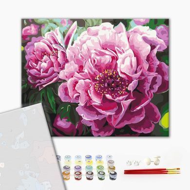 Картина по номерам Роскошный пион, 40x50 см, Brushme