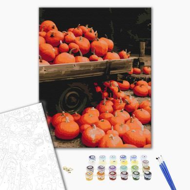 Картина по номерам Oсенний пейзаж, 40х50 см, Brushme