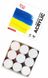 Набор акриловых красок Ukraine, 9x10 мл, ROSA START 4823098531043 фото 2 с 3